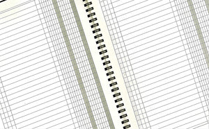 LogicaShop Registro Scadenziario A5, Pagamenti Mensile 12 mesi (1)